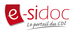 logo esidoc